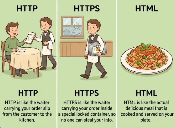A picture showing the differences between HTTP, HTTPS, HTML, and the browser using a restaurant analogy, illustrating how HTTP is the communication method while HTTPS adds security and HTML is the content
